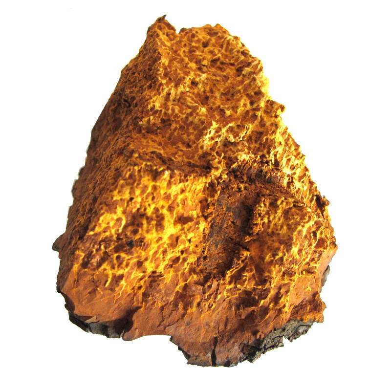 天然樺茸精 (1).jpg