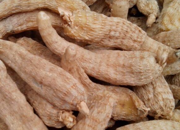 QQ截圖20211111165425.jpg QQ截圖20211111165425.jpg